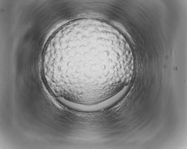 X0000085791040200704131849
