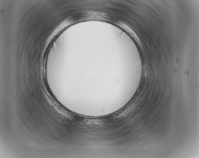 X0000085791043200704131849