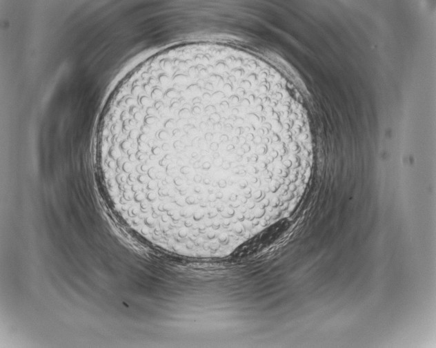 X0000085791044200704131849