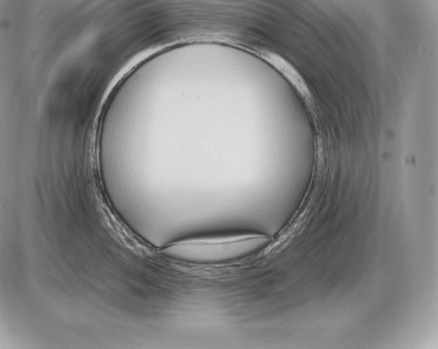 X0000085791052200704131850