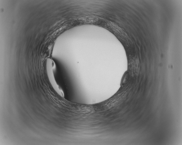 X0000085791058200704131849