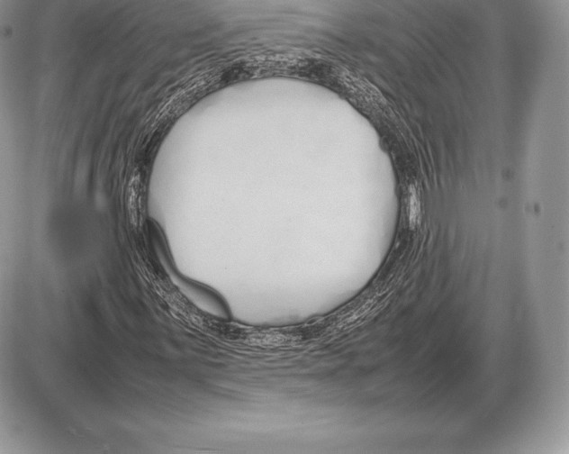 X0000085791059200704131849