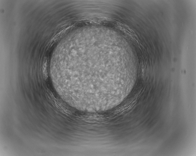 X0000085791060200704131849