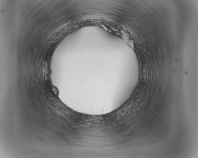 X0000085791062200704131849