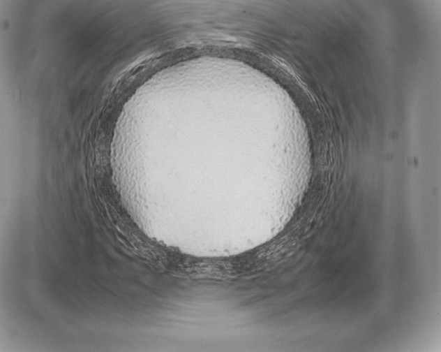 X0000085791063200704131849