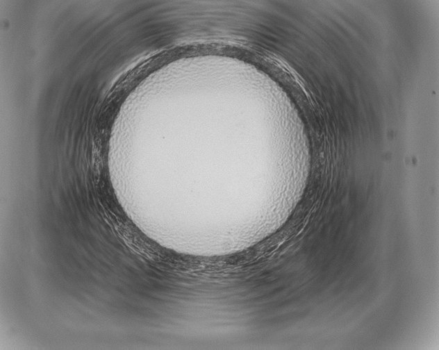 X0000085791064200704131849