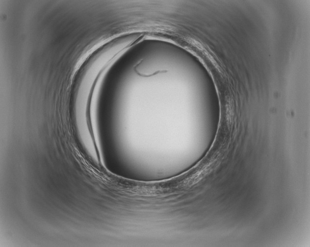 X0000085791069200704131849