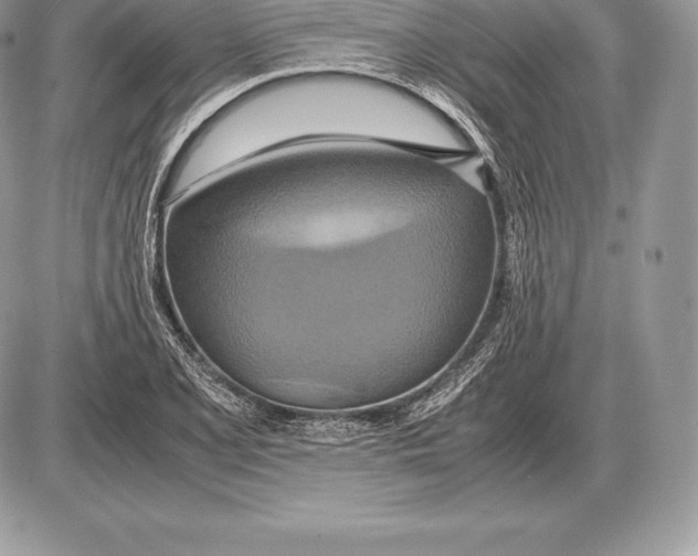 X0000085791077200704131848