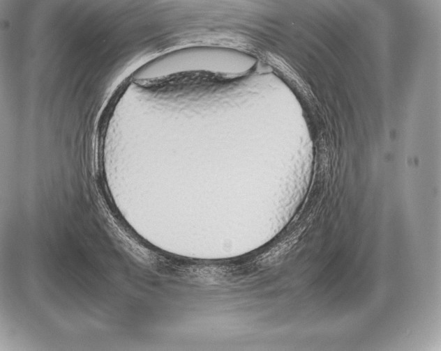 X0000085791079200704131848