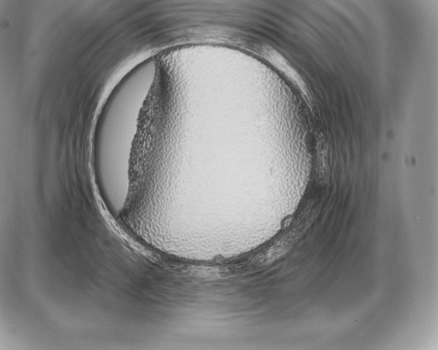 X0000085791088200704131848