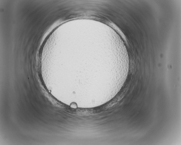 X0000085791099200704131848