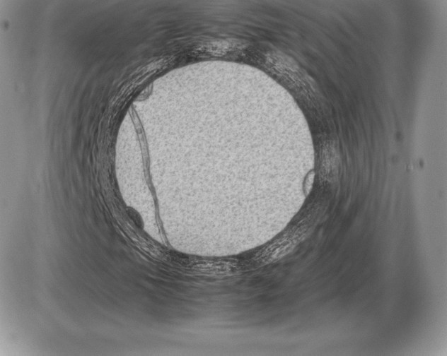 X0000085791105200704131847