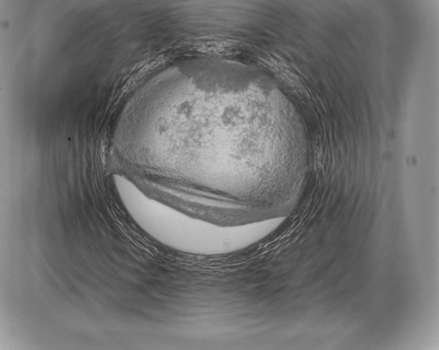 X0000085791106200704131847