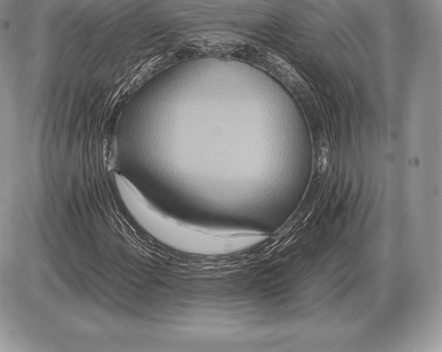 X0000085791108200704131847