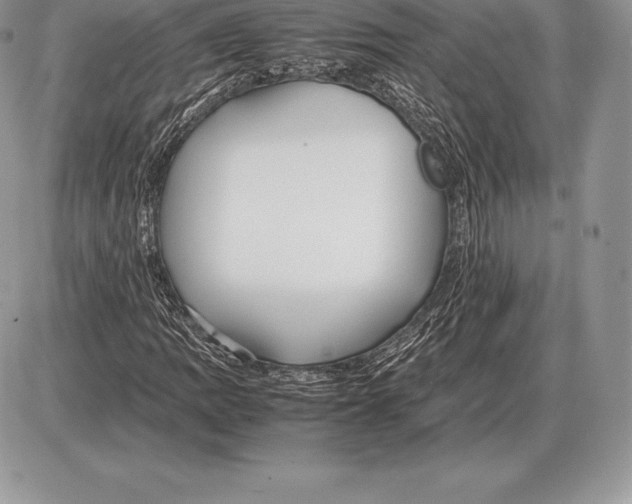 X0000085791109200704131847