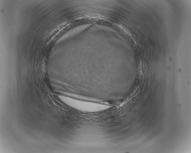 X0000085791110200704131847