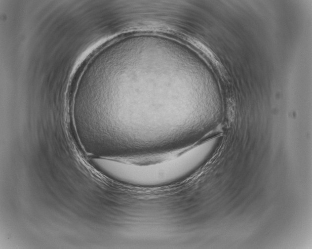 X0000085791120200704131847