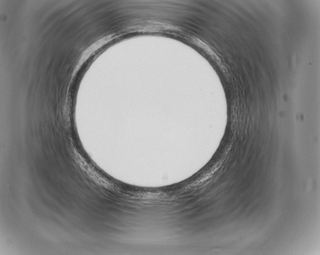 X0000085791122200704131848
