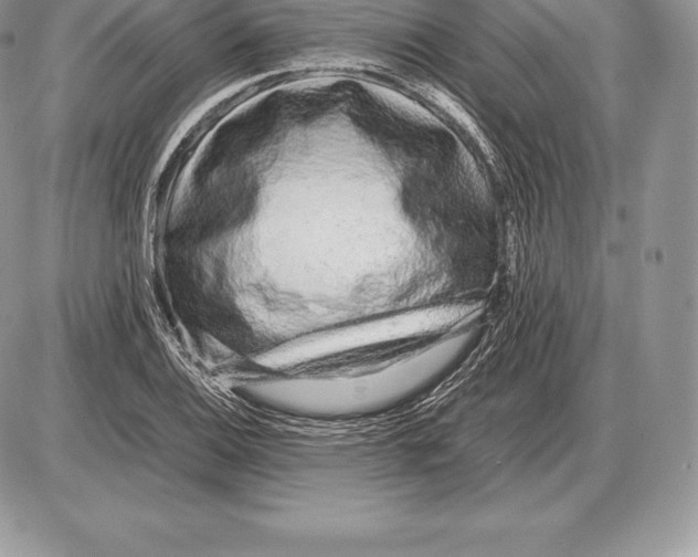 X0000085791124200704131848