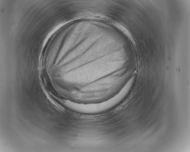 X0000085791128200704131848