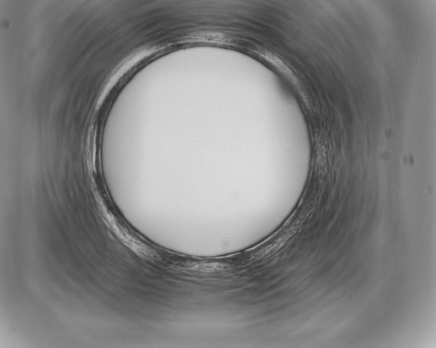 X0000085791131200704131848