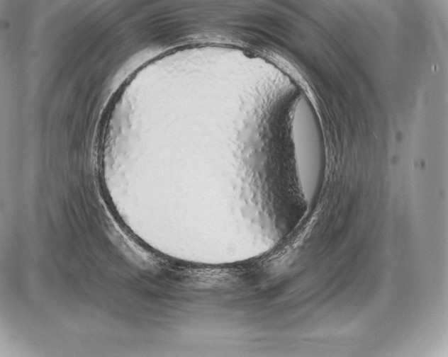 X0000085791141200704131848