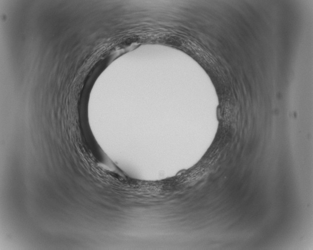 X0000085791153200704131847