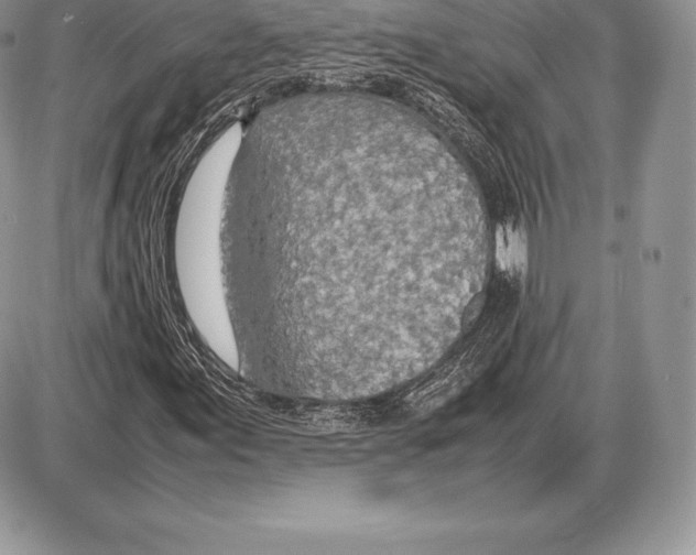X0000085791155200704131847