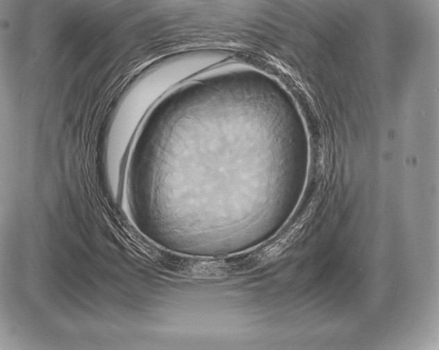 X0000085791161200704131847