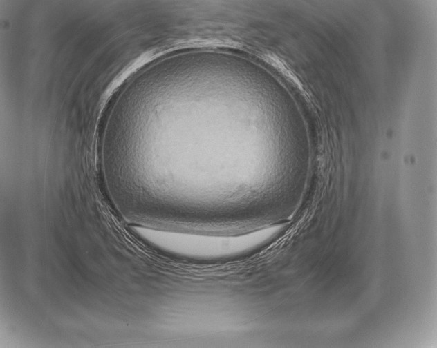 X0000085791173200704131847