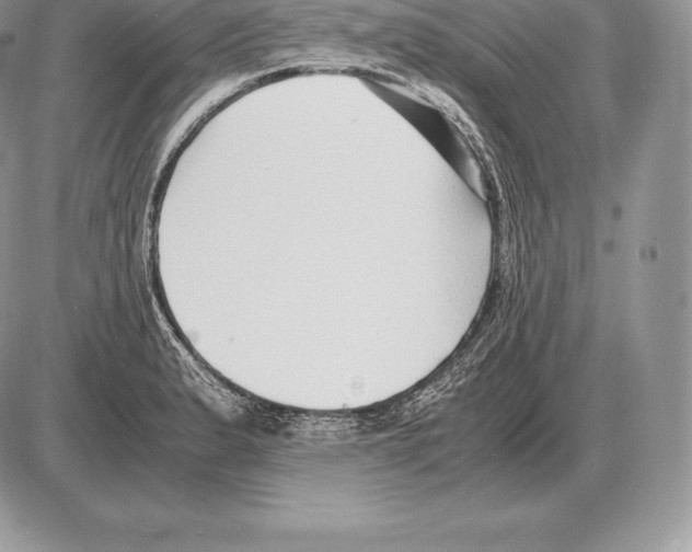 X0000085791183200704131847