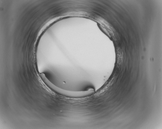 X0000085791192200704131847