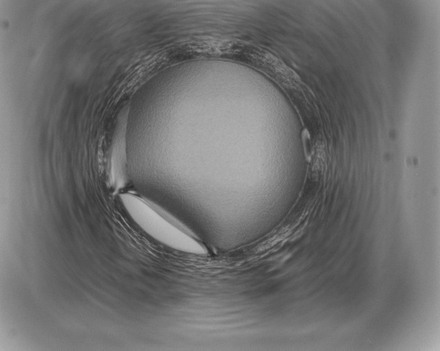 X0000085791202200704131846