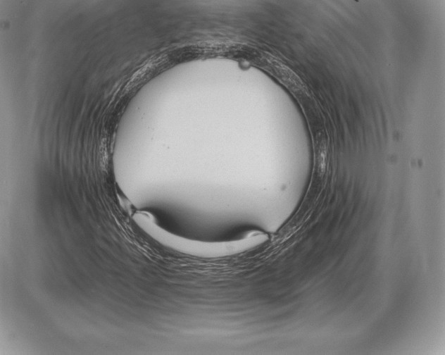 X0000085791204200704131846