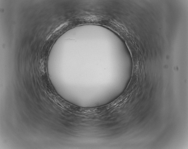 X0000085791205200704131846