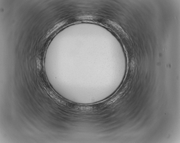 X0000085791209200704131846