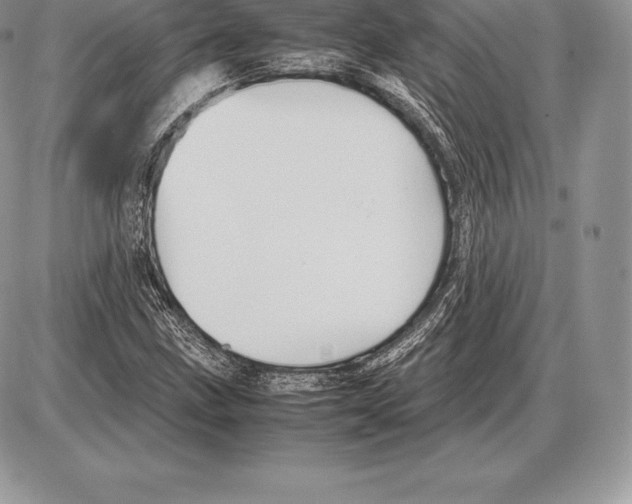 X0000085791211200704131846