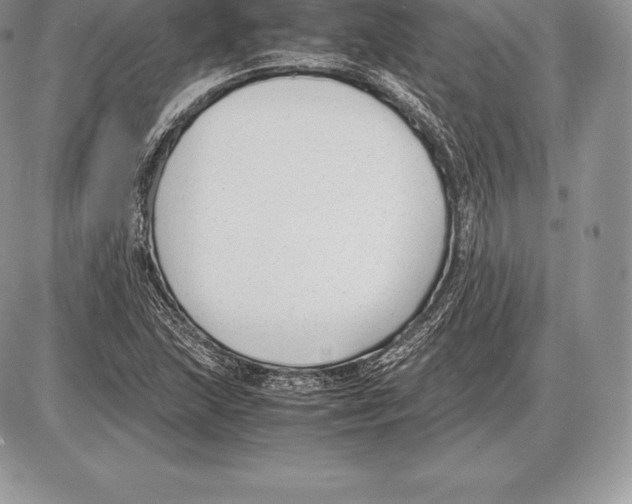 X0000085791215200704131846