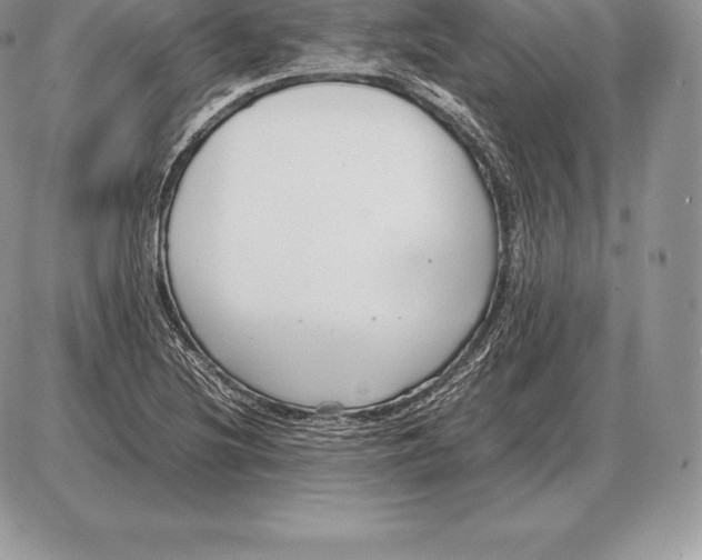 X0000085791220200704131846