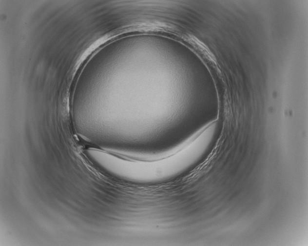 X0000085791226200704131846