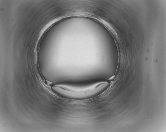 X0000085791238200704131846