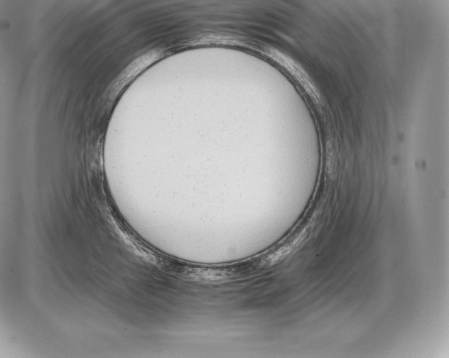 X0000085791241200704131846