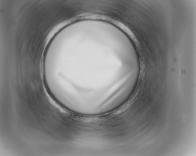 X0000085791247200704131846
