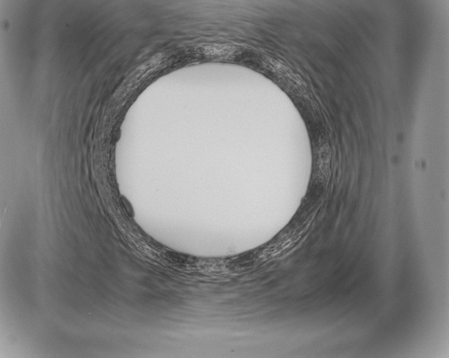 X0000085791249200704131846