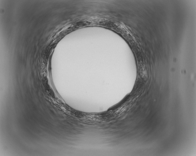 X0000085791253200704131846