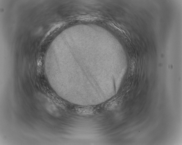 X0000085791254200704131846