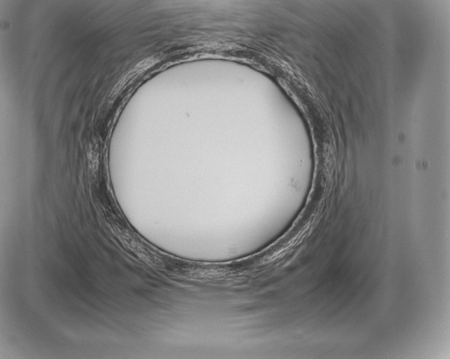 X0000085791257200704131845