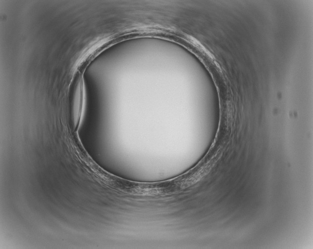 X0000085791269200704131845