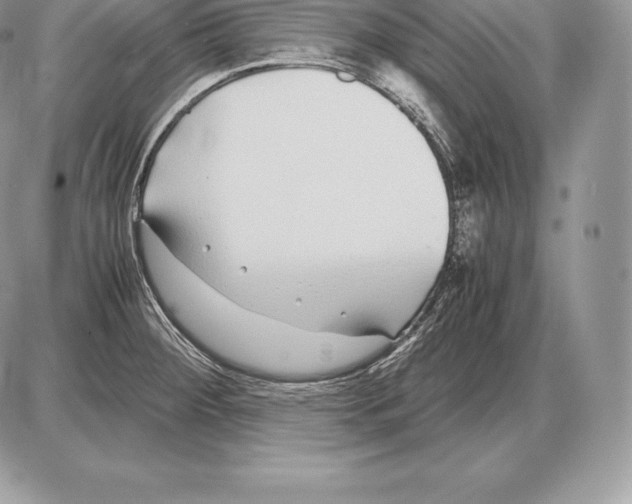 X0000085791284200704131845