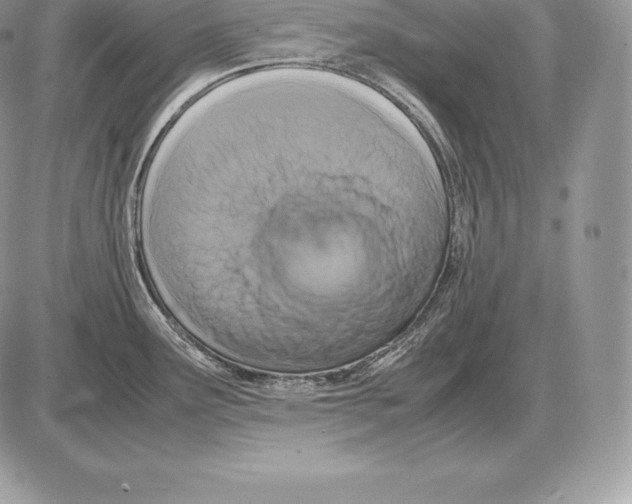 X0000085791291200704131845